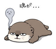 846959758