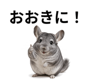 846960755