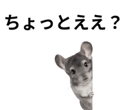 846960763