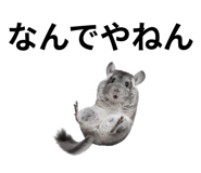 846960769