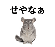 846960770