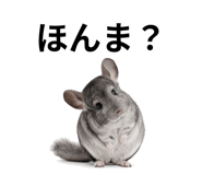 846960771