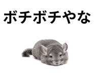 846960772