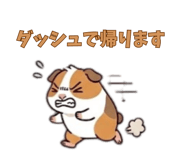 846960851