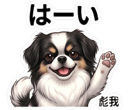 846962521