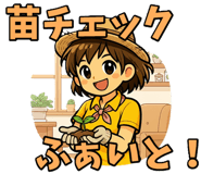 846963206