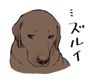 846963417