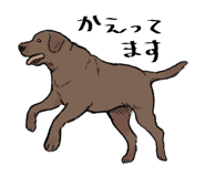 846963420