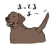 846963423