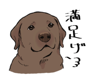 846963426