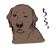 846963428