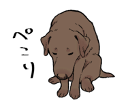 846963430