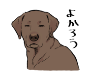 846963433