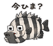 846963481