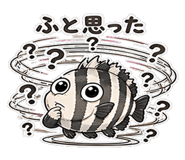 846963496