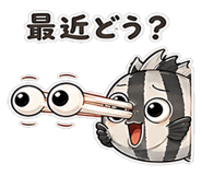 846963506