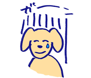 846964656