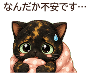 846965458
