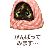 846965487