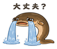 846965799
