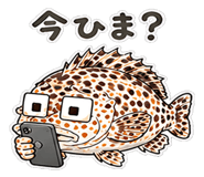 846973849