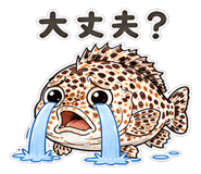 846973855