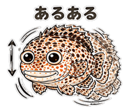 846973881