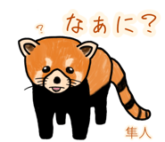 846978659