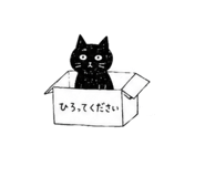 846981894