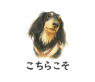 846986241