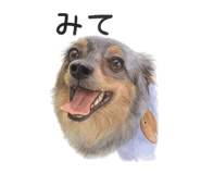 846986242