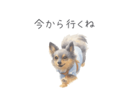 846986245