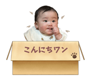 846986347