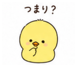846986651