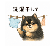 846988646
