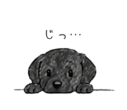 846990071