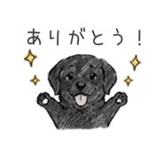 846990076