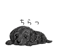 846990080