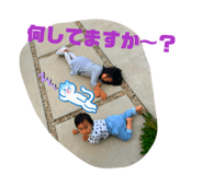 846993185