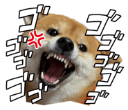 846994037