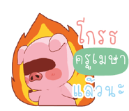 846999742