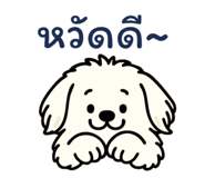 847007929