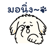 847007930