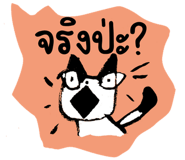 847008339