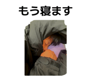 847012249