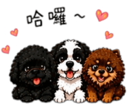 847015929