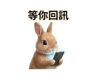 847017306