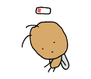 847018067