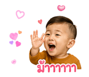 847020596