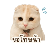 847023556